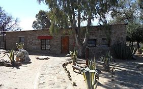 Leopard Lodge